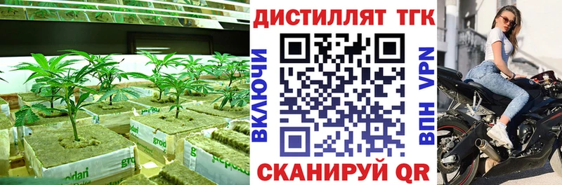 ТГК THC oil  Купить закладки  Дальнереченск 